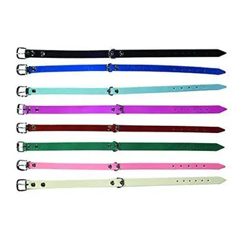 Karlie – Collier pour Chiens Youngster
Karlie – Collier pour Chiens Youngster