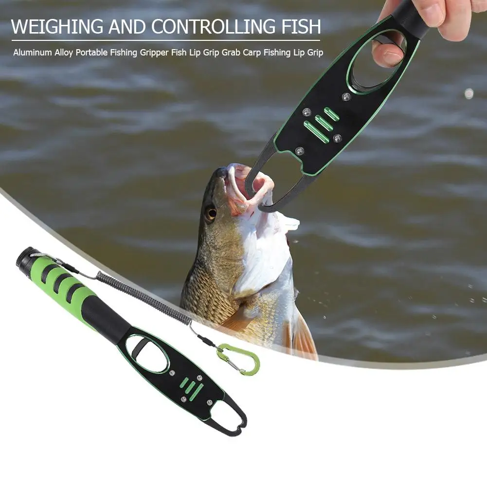 Multi-Functions Fish Controller Fishing Gripper TPR Anti-skid Handle Safety and Reliability Fish Lip Grip Fishing Equipment
Multi-Functions Fish Controller Fishing Gripper TPR Anti-skid Handle Safety and Reliability Fish Lip Grip Fishing Equipment