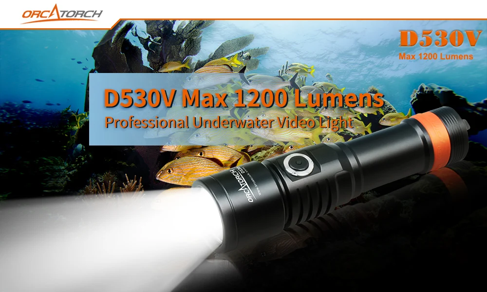 D530V-P1英