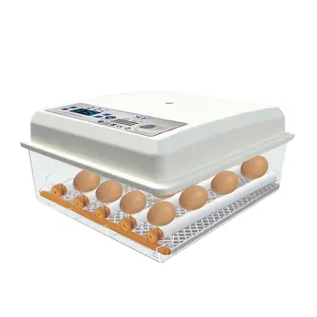 220V Eggs Incubator Brooder Bird Quail Chick Hatchery Incubator Poultry Hatcher Turner Automatic Farm Incubation Tools
220V Eggs Incubator Brooder Bird Quail Chick Hatchery Incubator Poultry Hatcher Turner Automatic Farm Incubation Tools