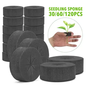 48*20mm Garden Clone Collars Neoprene Inserts Sponge Block For 2 Inch Net Pots Hydroponics Systems And Cloning Machines
48*20mm Garden Clone Collars Neoprene Inserts Sponge Block For 2 Inch Net Pots Hydroponics Systems And Cloning Machines