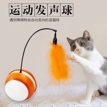 Pet Toy Bite-resistant Feather Electric Light-emitting Plastic Funny Cat Ball Cat Dog Interactive Educational Toy Pet Supplies
Pet Toy Bite-resistant Feather Electric Light-emitting Plastic Funny Cat Ball Cat Dog Interactive Educational Toy Pet Supplies