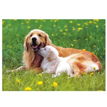 Puzzle 1000 Pieces,Puzzles for Adults & Kid's Challenge Jigsaw Puzzle Landscape,Educational Landscape Puzzles Game Play Toys
Puzzle 1000 Pieces,Puzzles for Adults & Kid's Challenge Jigsaw Puzzle Landscape,Educational Landscape Puzzles Game Play Toys