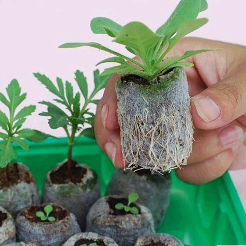 Garden supplies Horticultural Supplies of Compressed Plant Nutrition Block with 3 cm Diameter Seedling Mud Garden tools
Garden supplies Horticultural Supplies of Compressed Plant Nutrition Block with 3 cm Diameter Seedling Mud Garden tools