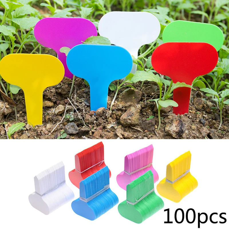 100pcs PP Gardening Insert Labels Mini T-type Plant Marker Flower Nursery Tags garden flower species identification
100pcs PP Gardening Insert Labels Mini T-type Plant Marker Flower Nursery Tags garden flower species identification