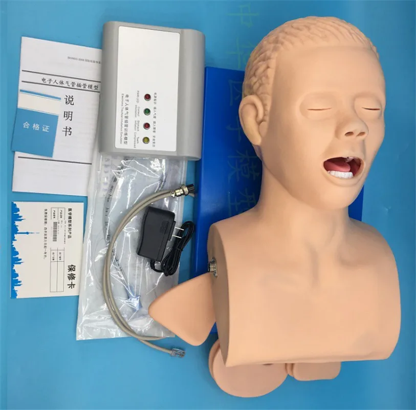 Intubation Manikin Study Teaching Model Airway Management Trainer PVC With Teeth
Intubation Manikin Study Teaching Model Airway Management Trainer PVC With Teeth
