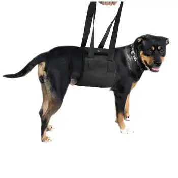 Dogs Reflection Sling Lift with Handle for Older Dogs or Injuries Adjustable Pet Protective Belt for Dogs Pet Care Accessories
Dogs Reflection Sling Lift with Handle for Older Dogs or Injuries Adjustable Pet Protective Belt for Dogs Pet Care Accessories