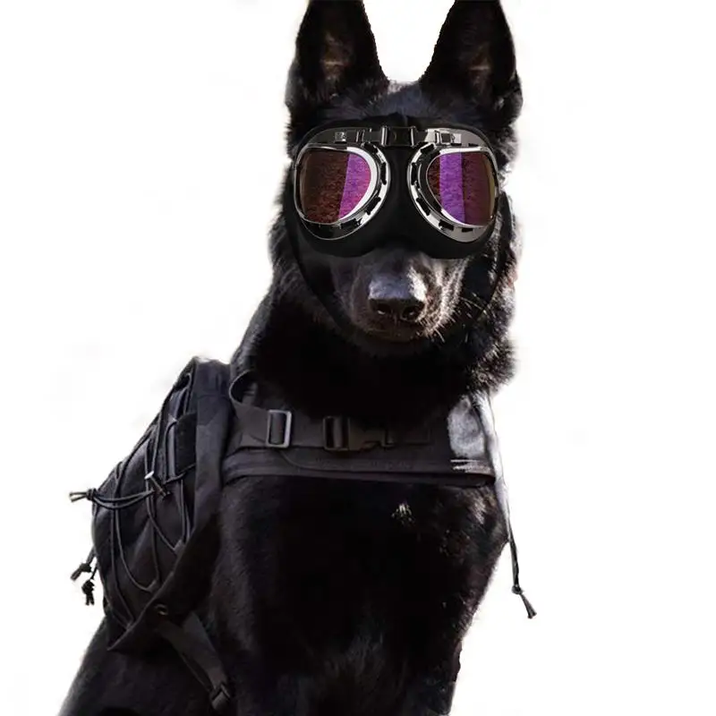 Pet Sunglasses Foldable Little Dogs Glasses For Hunting Training Camping Cat Glasses Photos Prop Dog Cat Accessories x
Pet Sunglasses Foldable Little Dogs Glasses For Hunting Training Camping Cat Glasses Photos Prop Dog Cat Accessories x