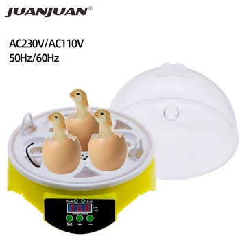 Mini Egg Incubator 7 eggs 220V Automatic incubator Egg Hatching Machine Temperature Control Brooder Chicken Bird Duck Hatcher
Mini Egg Incubator 7 eggs 220V Automatic incubator Egg Hatching Machine Temperature Control Brooder Chicken Bird Duck Hatcher