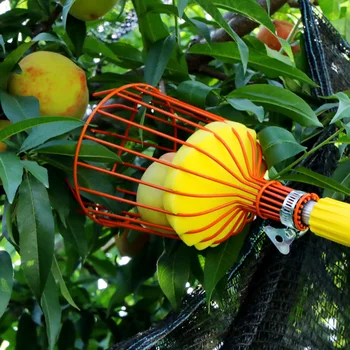 1PC Upper Air Picking Device Professional Fruit Picker Soft Fruit Picker Peach Picking Tool For Orchard Garden Greenhouse
1PC Upper Air Picking Device Professional Fruit Picker Soft Fruit Picker Peach Picking Tool For Orchard Garden Greenhouse