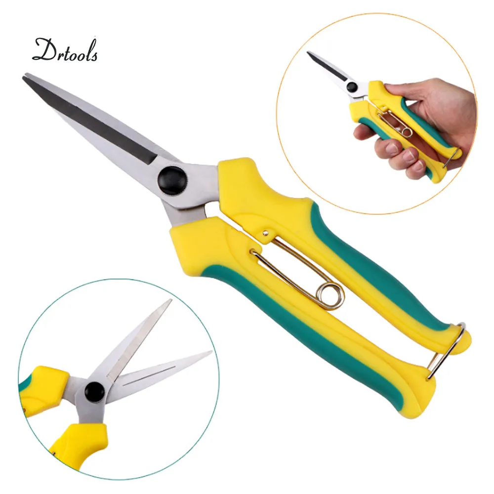 Straight Fruit Tree Picking Fruit Scissors Rubber Orchard Thin Fruit Shears Gardening Bonsai Tools Garden Supplies Pruning shear
Straight Fruit Tree Picking Fruit Scissors Rubber Orchard Thin Fruit Shears Gardening Bonsai Tools Garden Supplies Pruning shear