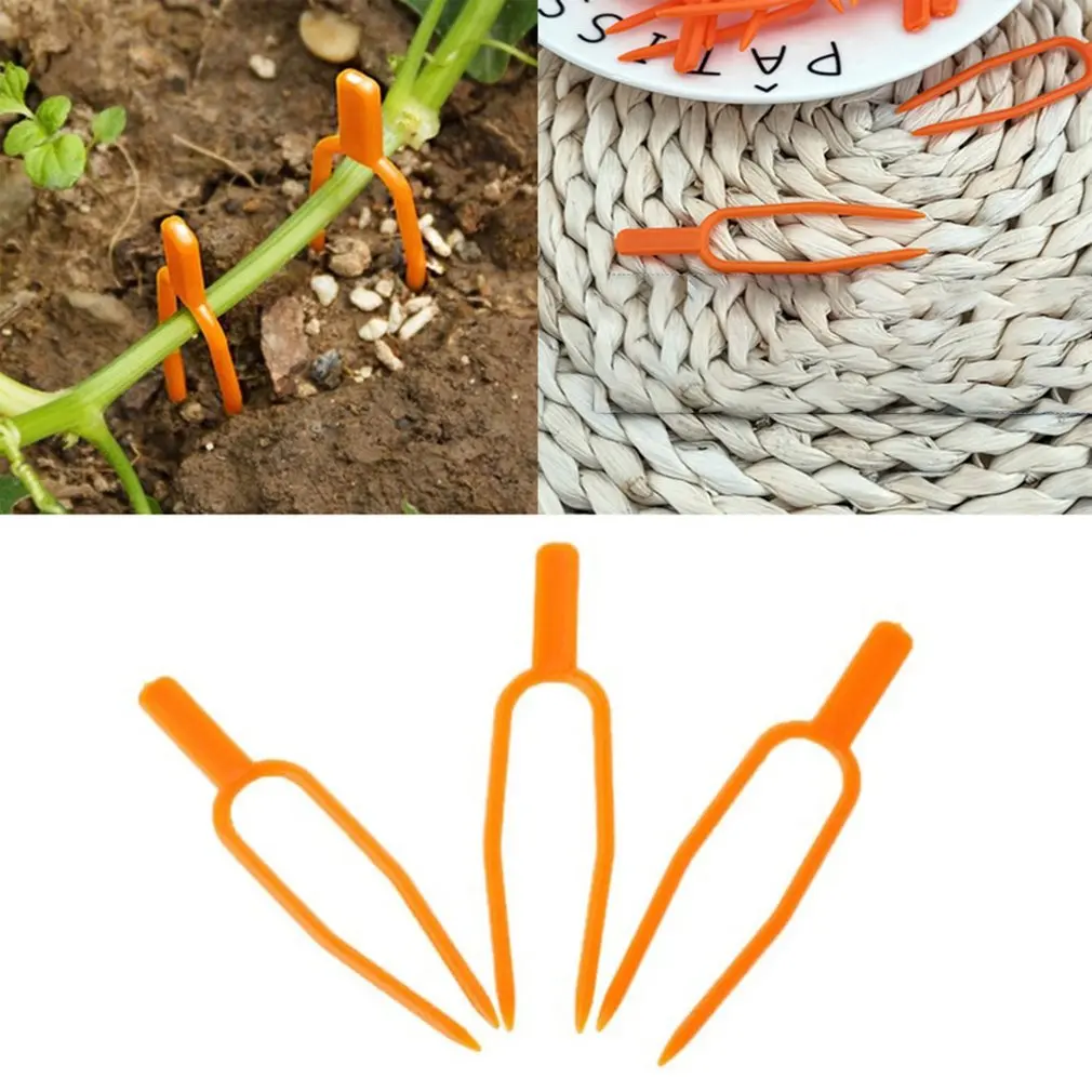 50pcs Strawberry Seedling Fixing Clips Resusable Plant Stolons Fastening Fixture Melon Vines Clamp Securing Fork Garden Tool
50pcs Strawberry Seedling Fixing Clips Resusable Plant Stolons Fastening Fixture Melon Vines Clamp Securing Fork Garden Tool