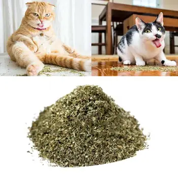 Catnip Dried WOW Fresh High Quality Filled Fresh Everyday Cat Food Cat Toy
Catnip Dried WOW Fresh High Quality Filled Fresh Everyday Cat Food Cat Toy