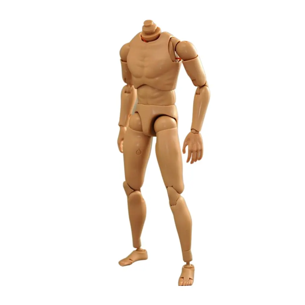 1/6 Male Figure Body Narrow Shoulder Simulated Human Body Military Muscular Body Scene Sketch Accs Sketch Tool Action Figure Toy
1/6 Male Figure Body Narrow Shoulder Simulated Human Body Military Muscular Body Scene Sketch Accs Sketch Tool Action Figure Toy