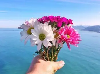 Women Dress Spring and Summer Long Sleeve Flower Printing Mini Dress
Women Dress Spring and Summer Long Sleeve Flower Printing Mini Dress