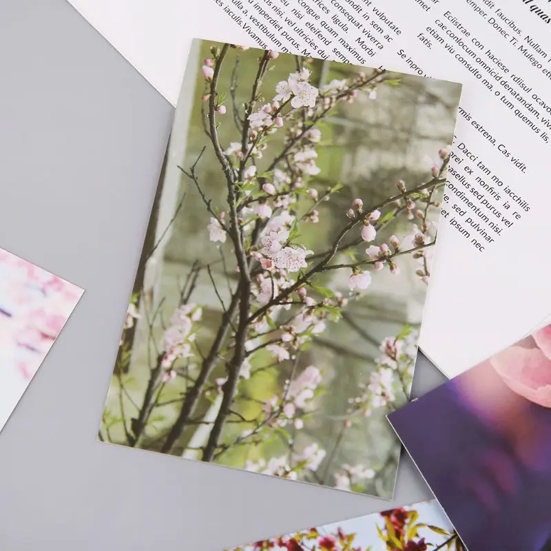 30 Sheets Peach Blossom Paintings Retro Vintage Postcard Christmas Gift Card Wish Poster Cards
30 Sheets Peach Blossom Paintings Retro Vintage Postcard Christmas Gift Card Wish Poster Cards