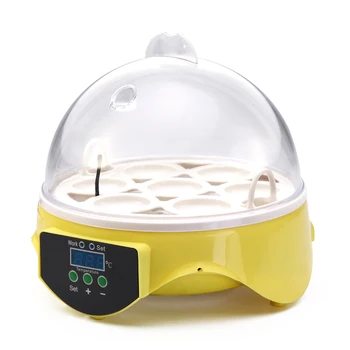 Mini 7 Egg Incubator Poultry Incubator Brooder Digital Temperature Hatchery Egg Incubator Hatcher Chicken Duck Bird Pigeon AU Pl
Mini 7 Egg Incubator Poultry Incubator Brooder Digital Temperature Hatchery Egg Incubator Hatcher Chicken Duck Bird Pigeon AU Pl