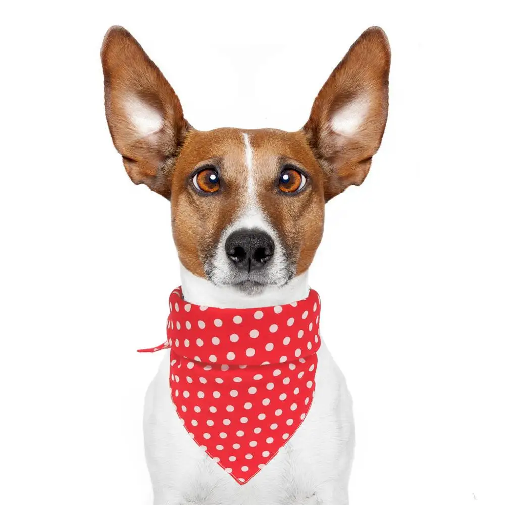 Polka Dots Bandanas for Large Dogs Adjustable Triangular Bibs Scarfs Washable Pets Party Kerchief Decoration
Polka Dots Bandanas for Large Dogs Adjustable Triangular Bibs Scarfs Washable Pets Party Kerchief Decoration