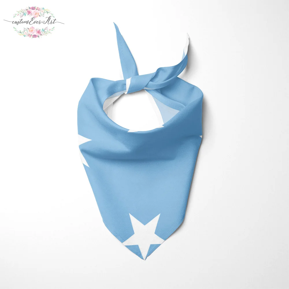 The Micronesia flag Dog Bandana Cat Bandana Pet Bandana Pet Accessory personalized name custom pet present scarf
The Micronesia flag Dog Bandana Cat Bandana Pet Bandana Pet Accessory personalized name custom pet present scarf