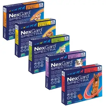 

Nexgard Spectra Chewables for Dogs NexGard Powerful Flea and Tick Control in One Little Chew