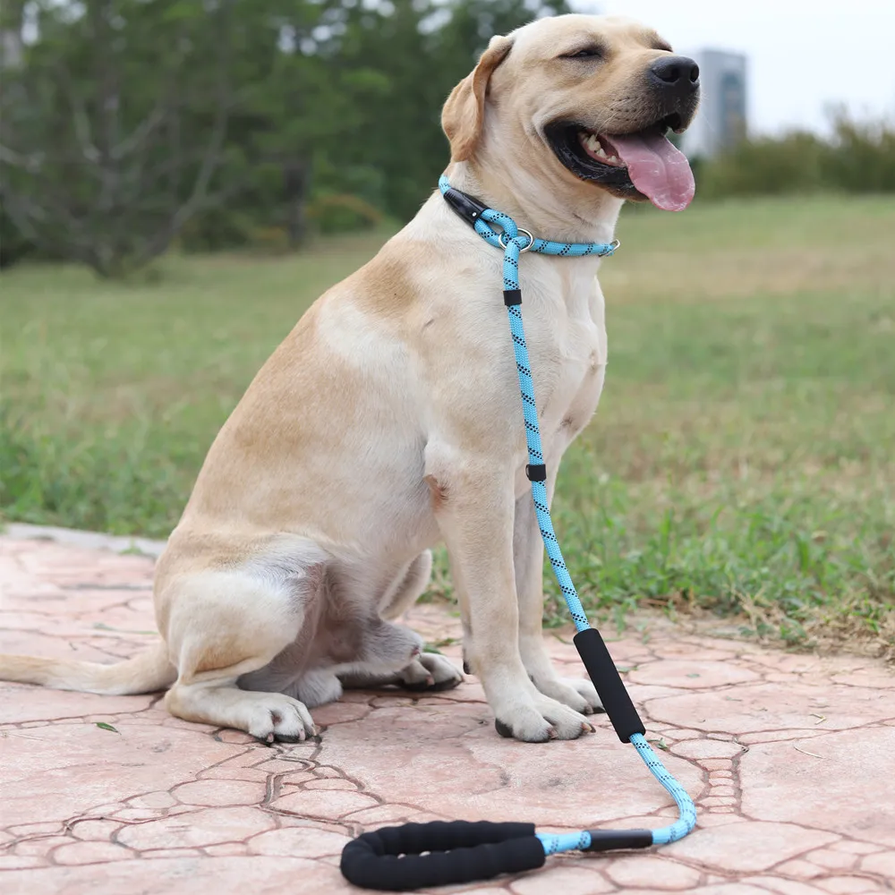 All-in-One Pet Leash Harness Reflective Dog Walking Rope No Pull P Rope Durable Small Medium and Large Dog Training Accessories
All-in-One Pet Leash Harness Reflective Dog Walking Rope No Pull P Rope Durable Small Medium and Large Dog Training Accessories