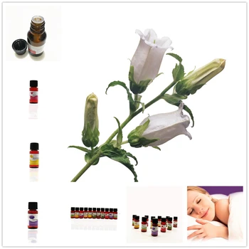 10ML Rose Aromatherapy Essential Oils for Relieve Stress Organic Plum blossom Gardenia Chinese bellflower Essential Oil
10ML Rose Aromatherapy Essential Oils for Relieve Stress Organic Plum blossom Gardenia Chinese bellflower Essential Oil