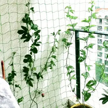 Planting Gardening Plant Climbing Net Anti-Bird Plants Useful Plastic Garden Buildings Tool Trellis Netting High Quality
Planting Gardening Plant Climbing Net Anti-Bird Plants Useful Plastic Garden Buildings Tool Trellis Netting High Quality