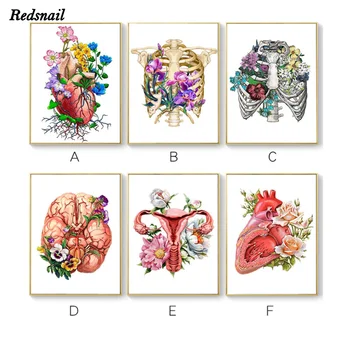 Organ Brain Heart Anatomy Art Diamond Embroidery DIY Diamond painting Abstract Flower Plant 5D mosaic Doctor Office Decor EE981 
Organ Brain Heart Anatomy Art Diamond Embroidery DIY Diamond painting Abstract Flower Plant 5D mosaic Doctor Office Decor EE981