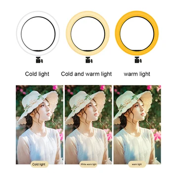 10inch Shooting 10W Live Studio 26cm Dimmable YouTube Video Selfie Fill Lamp LED Ring Light Desk Makeup Tripod Stand 3 Modes
10inch Shooting 10W Live Studio 26cm Dimmable YouTube Video Selfie Fill Lamp LED Ring Light Desk Makeup Tripod Stand 3 Modes