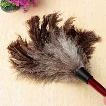 Antistatic Ostrich Feather Skin Wood Handle Brush Duster Dust Cleaning Tool Household Dust Cleaning For Dust Car
Antistatic Ostrich Feather Skin Wood Handle Brush Duster Dust Cleaning Tool Household Dust Cleaning For Dust Car