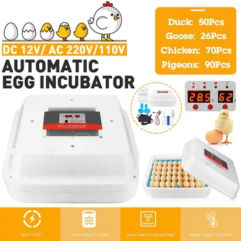 Farm Hatchery Incubator Automatic Chicken Egg Incubator Hatchery Equipment 70 Eggs Incubator Machine Chicken Duck Bird Brooder
Farm Hatchery Incubator Automatic Chicken Egg Incubator Hatchery Equipment 70 Eggs Incubator Machine Chicken Duck Bird Brooder