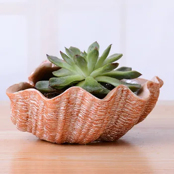 sea shell planter succulent plants flower pot resin conch plants potted home garden decoration creative present garden decor
sea shell planter succulent plants flower pot resin conch plants potted home garden decoration creative present garden decor