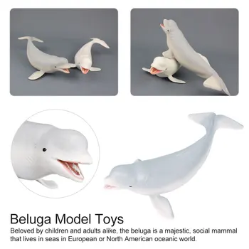 Animal Model Toys Realistic Figurines Simulation Animals Figures Wildlife animals Model for DIY Projects
Animal Model Toys Realistic Figurines Simulation Animals Figures Wildlife animals Model for DIY Projects