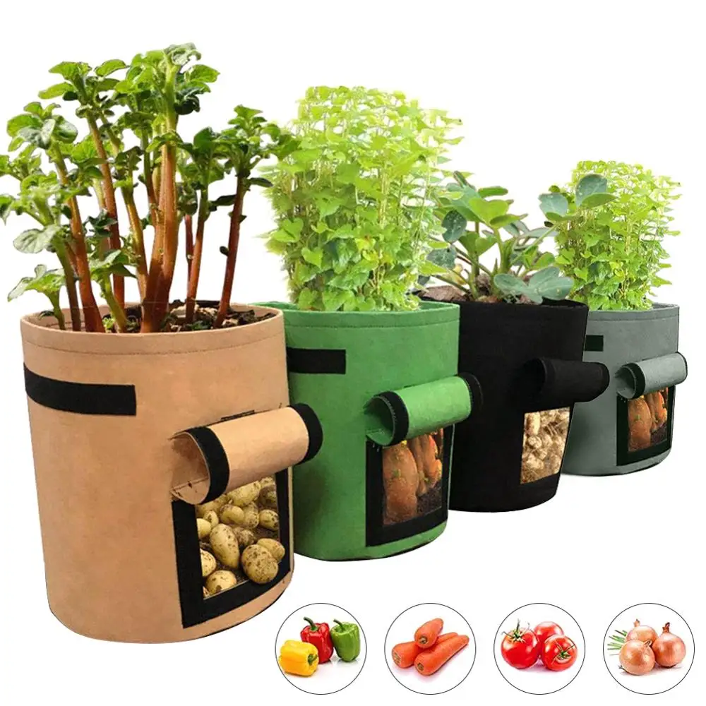 Multifunctional Garden Vegetable Planting Potato Tomato Planting Bag Waterproof Non-woven Planting Bag
Multifunctional Garden Vegetable Planting Potato Tomato Planting Bag Waterproof Non-woven Planting Bag