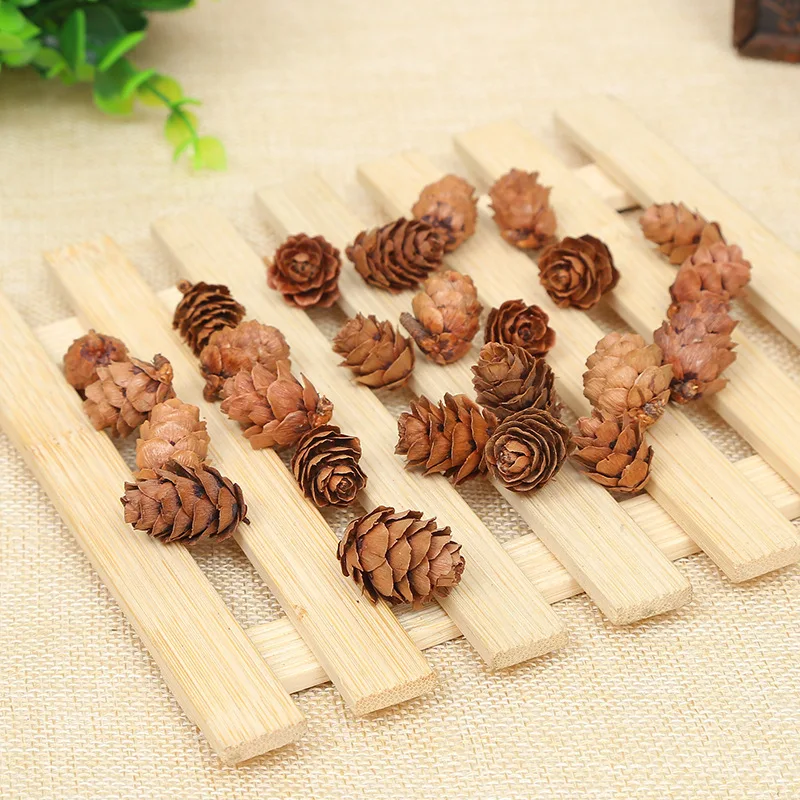 10pcs 1-2cm Mini Pine Flower Christmas Decorations Pine Cones Creative Ornaments Dried Flowers DIY Decoration Materials Larch
10pcs 1-2cm Mini Pine Flower Christmas Decorations Pine Cones Creative Ornaments Dried Flowers DIY Decoration Materials Larch