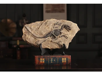 34cm large # HOME OFFICE BAR TOP COOL Decoration art Natural science Dinosaur Dragon Realistic fossil model statue good gift
34cm large # HOME OFFICE BAR TOP COOL Decoration art Natural science Dinosaur Dragon Realistic fossil model statue good gift