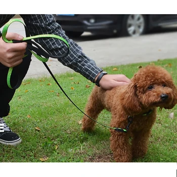 Nylon Dog Collar Lead Strap Set Adjustable Reflective Weave Braid Belt for Small Medium Large Dogs Cats Strength Neck Strap
Nylon Dog Collar Lead Strap Set Adjustable Reflective Weave Braid Belt for Small Medium Large Dogs Cats Strength Neck Strap