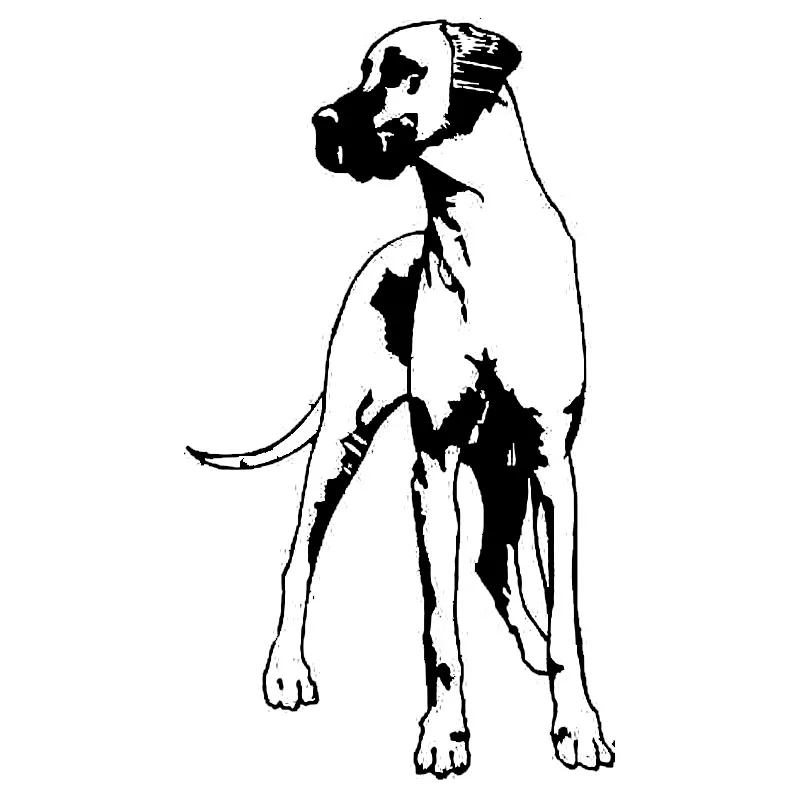 Car Sticker Great Dane Dog Personality Waterproof Sticker Car Shape Decoration Black/silver 8.3* 14.7cm
Car Sticker Great Dane Dog Personality Waterproof Sticker Car Shape Decoration Black/silver 8.3* 14.7cm