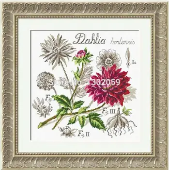 18CT/16CT/14CT/11CT/9CT Shadow Series Dahlia Flower Embroidery Package Cross Stitch Kit
18CT/16CT/14CT/11CT/9CT Shadow Series Dahlia Flower Embroidery Package Cross Stitch Kit