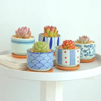Ceramic Japanese Style Succulents Plants Pot Cactus Bonsai Pot Flower Pot Container Creative Planter Home Garden Decoration
Ceramic Japanese Style Succulents Plants Pot Cactus Bonsai Pot Flower Pot Container Creative Planter Home Garden Decoration
