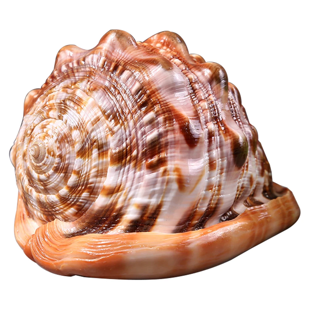 Natural Decorative Figurines Aquarium Ornament Landscaping DIY Craft Desktop Fish Tank Office Kids Gift Marine Home Sea Conch
Natural Decorative Figurines Aquarium Ornament Landscaping DIY Craft Desktop Fish Tank Office Kids Gift Marine Home Sea Conch