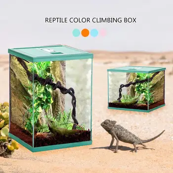 Reptile Glass Terrarium Amphibians Feeding Box Transparent Pet Spider Gecko Horn Lizard Insect Frog Climbing Case
Reptile Glass Terrarium Amphibians Feeding Box Transparent Pet Spider Gecko Horn Lizard Insect Frog Climbing Case