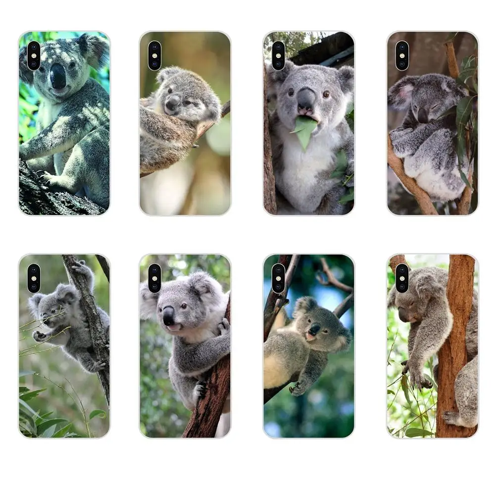 Чехол Koala Bear из ТПУ для Apple iPhone 4 4S 5 5C 5S SE 6 6S 7 8 Plus X XS Max XR | Мобильные телефоны и
