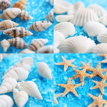 DIY Handmade Candle Natural Seashells Conch Decorations Scallop Shells Jewelry Crafts Wall Decor Ornament home decor
DIY Handmade Candle Natural Seashells Conch Decorations Scallop Shells Jewelry Crafts Wall Decor Ornament home decor