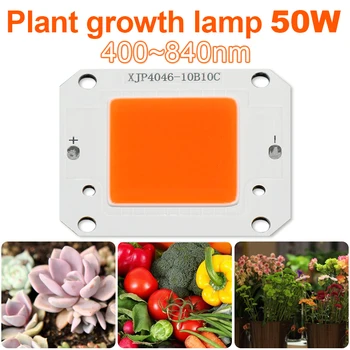 Durable Diode Grow Light Plant Growth Light Seed Starting Garden Grow Light Lighting Hydroponics Lamps Home Full Spectrum
Durable Diode Grow Light Plant Growth Light Seed Starting Garden Grow Light Lighting Hydroponics Lamps Home Full Spectrum