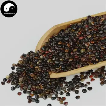 Zhi Ju Zi, Semen Hoveniae, Raisin Tree Semen, Guai Zao, Ji Zhua Li
Zhi Ju Zi, Semen Hoveniae, Raisin Tree Semen, Guai Zao, Ji Zhua Li