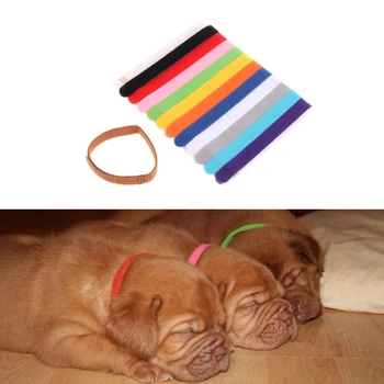 12Pcs Pets Puppy Collars Different Colors Soft Identification Mark For Cats Dogs
12Pcs Pets Puppy Collars Different Colors Soft Identification Mark For Cats Dogs