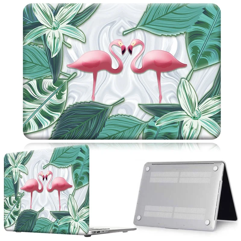 Flamingo017
