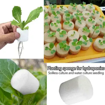 Newest 100pcs Planting Hydroponic Sponge Soilless Cultivation Vegetables Plants Planting 32mm in Diameter
Newest 100pcs Planting Hydroponic Sponge Soilless Cultivation Vegetables Plants Planting 32mm in Diameter