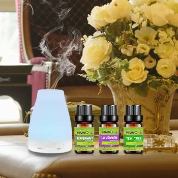 KIUNO 10ml Essential Oils For Humidifier Aromatherapy Oil Diffuser Vetiver Lemongrass Cajeput Camphor Tea Tree Thyme Grapefruit
KIUNO 10ml Essential Oils For Humidifier Aromatherapy Oil Diffuser Vetiver Lemongrass Cajeput Camphor Tea Tree Thyme Grapefruit
